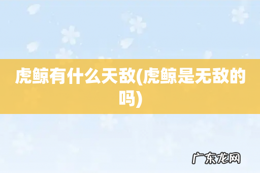 虎鲸是无敌的吗 虎鲸有什么天敌