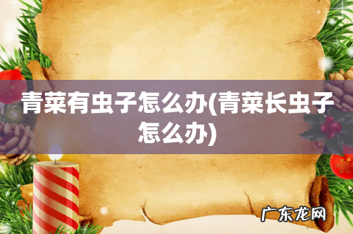 青菜长虫子怎么办 青菜有虫子怎么办