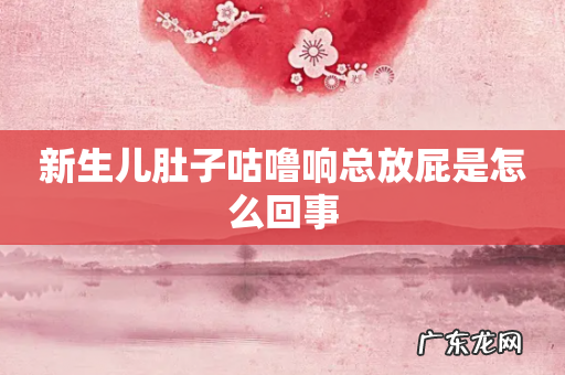 新生儿肚子咕噜响总放屁是怎么回事