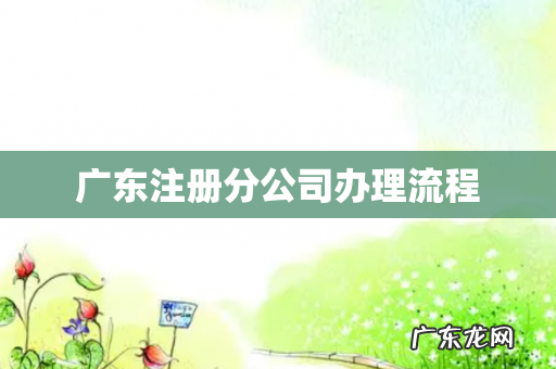 广东注册分公司办理流程