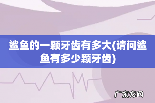 请问鲨鱼有多少颗牙齿 鲨鱼的一颗牙齿有多大