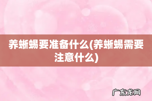 养蜥蜴需要注意什么 养蜥蜴要准备什么