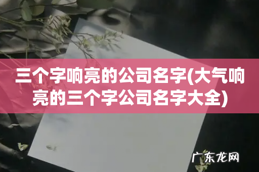 大气响亮的三个字公司名字大全 三个字响亮的公司名字