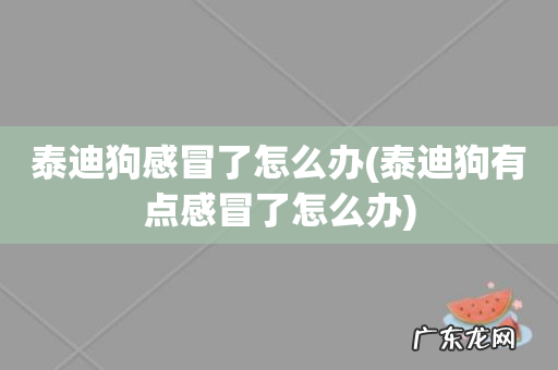 泰迪狗有点感冒了怎么办 泰迪狗感冒了怎么办