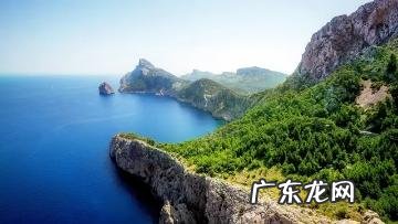 强调句式怎么用