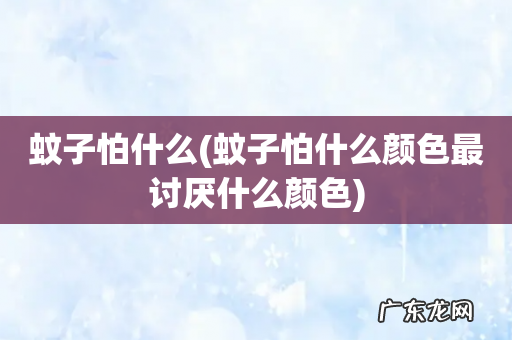 蚊子怕什么颜色最讨厌什么颜色 蚊子怕什么
