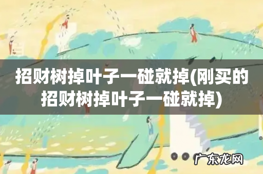 刚买的招财树掉叶子一碰就掉 招财树掉叶子一碰就掉