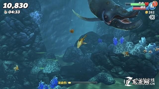 black deity blackcitywars