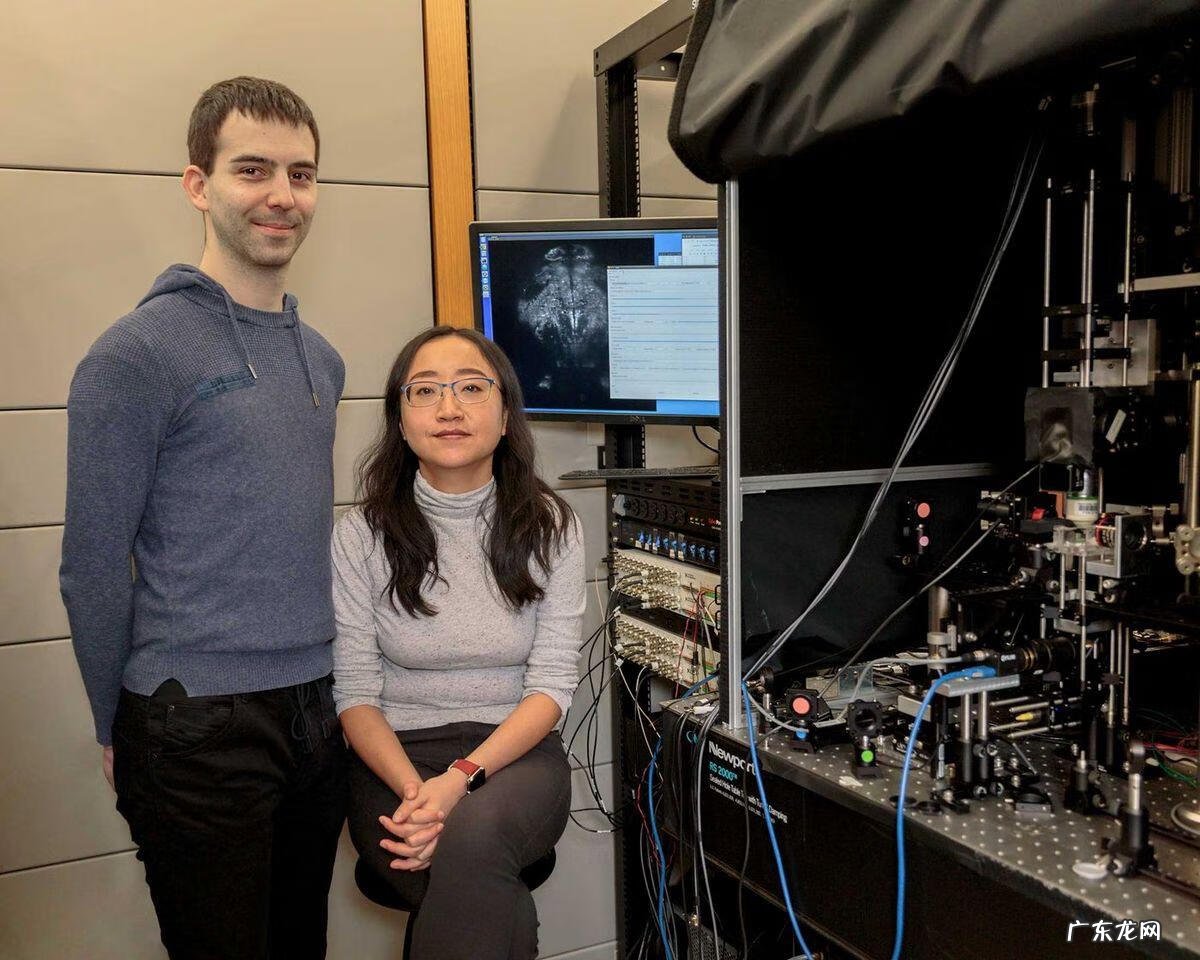 愤怒的小鸟太空版修改器 愤怒的小鸟作弊器