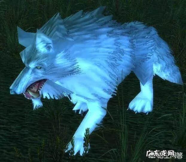 荆棘谷虎怎么获得 荆棘谷虎王位置