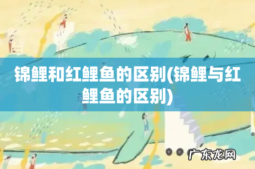 锦鲤与红鲤鱼的区别 锦鲤和红鲤鱼的区别