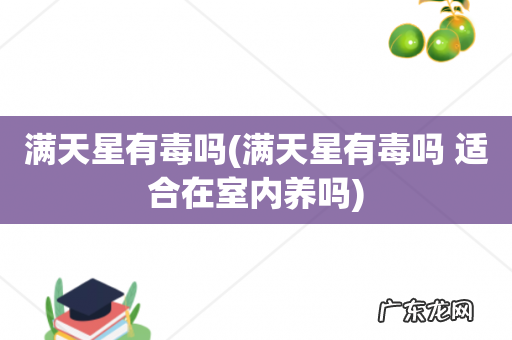 满天星有毒吗 适合在室内养吗 满天星有毒吗