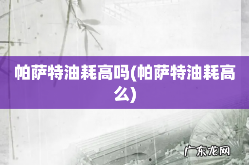 帕萨特油耗高么 帕萨特油耗高吗