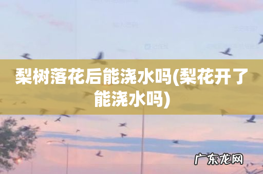 梨花开了能浇水吗 梨树落花后能浇水吗