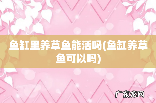 鱼缸养草鱼可以吗 鱼缸里养草鱼能活吗