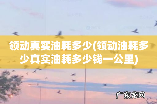 领动油耗多少真实油耗多少钱一公里 领动真实油耗多少