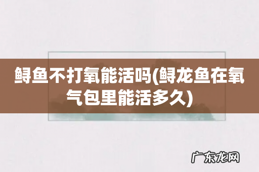 鲟龙鱼在氧气包里能活多久 鲟鱼不打氧能活吗