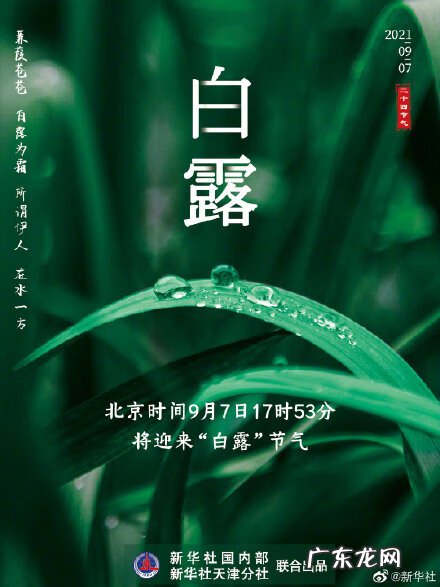 白露的具体时间 白露是什么时候到什么时候