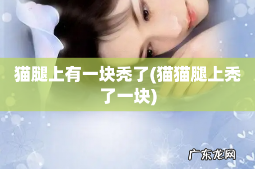 猫猫腿上秃了一块 猫腿上有一块秃了