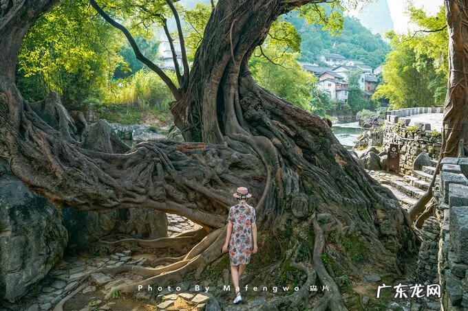 广西十大风水宝地山图 南蛇下山风水宝地