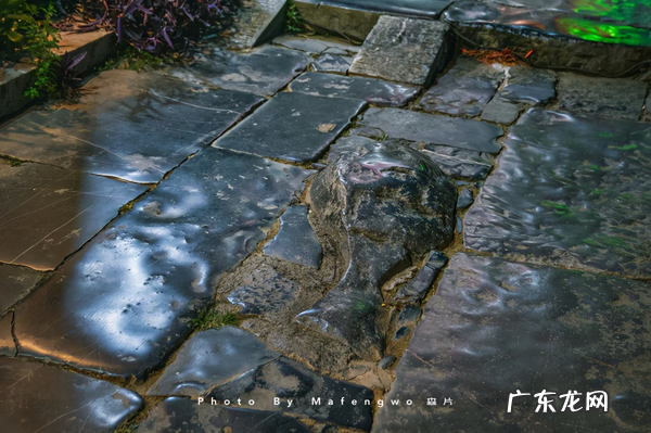 广西十大风水宝地山图 南蛇下山风水宝地