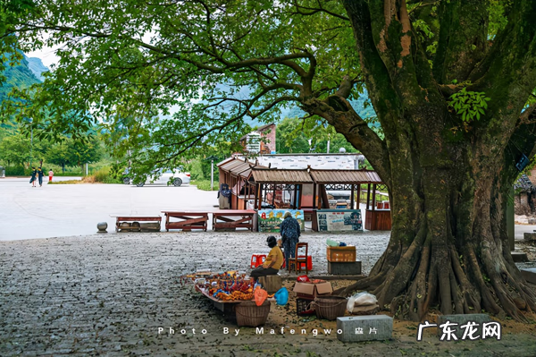 广西十大风水宝地山图 南蛇下山风水宝地