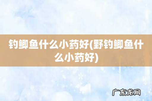 野钓鲫鱼什么小药好 钓鲫鱼什么小药好