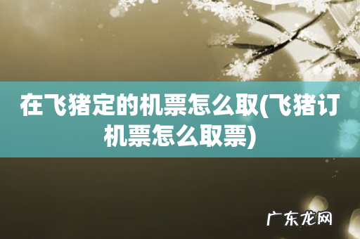 飞猪订机票怎么取票 在飞猪定的机票怎么取
