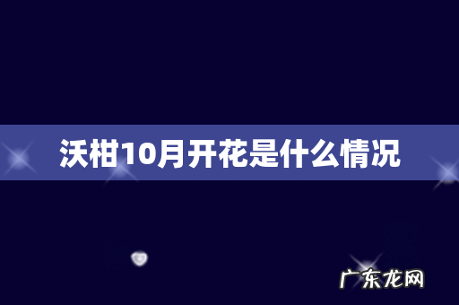 沃柑10月开花是什么情况