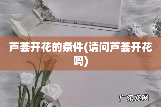 请问芦荟开花吗 芦荟开花的条件