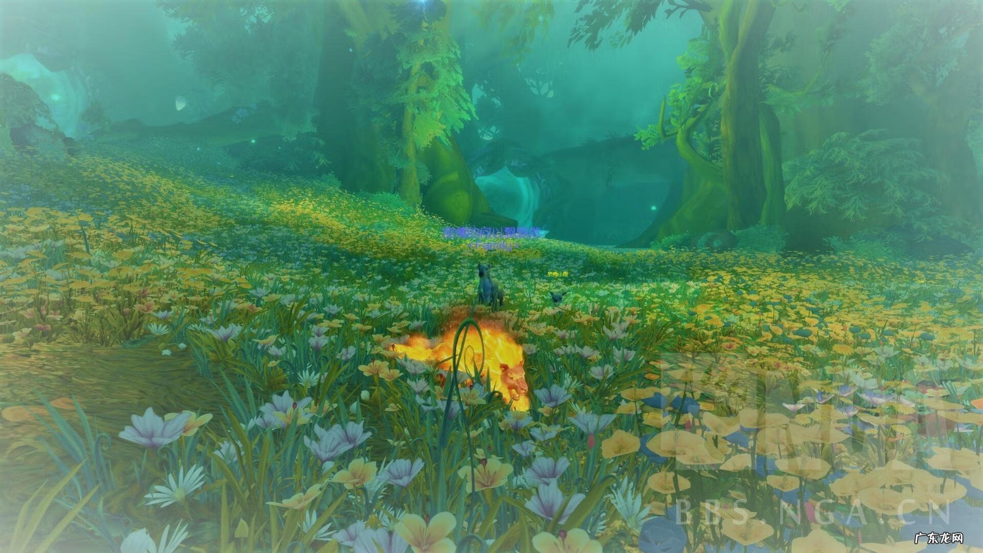 无敌牺牲宏 魔兽世界猎人牺牲咆哮宏