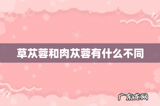 草苁蓉和肉苁蓉有什么不同