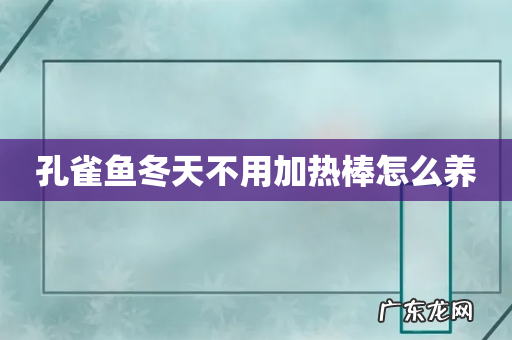 孔雀鱼冬天不用加热棒怎么养