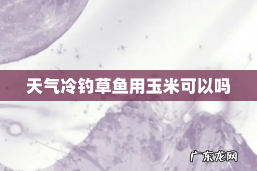 天气冷钓草鱼用玉米可以吗
