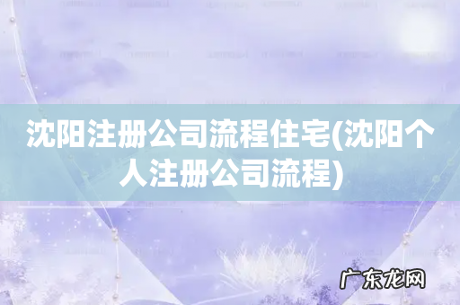 沈阳个人注册公司流程 沈阳注册公司流程住宅