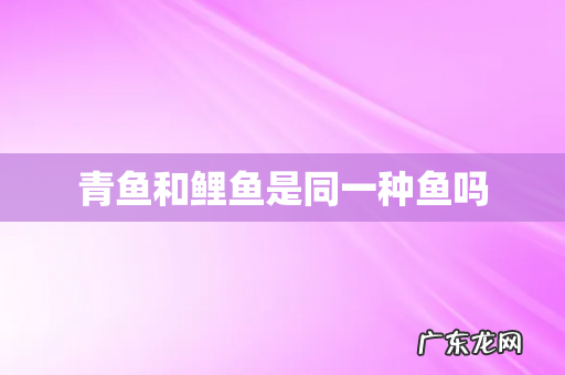 青鱼和鲤鱼是同一种鱼吗