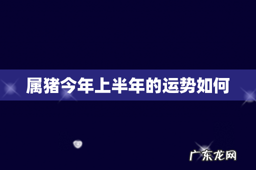 属猪今年上半年的运势如何