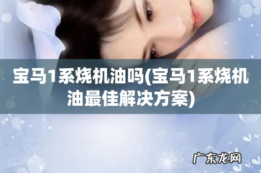 宝马1系烧机油最佳解决方案 宝马1系烧机油吗