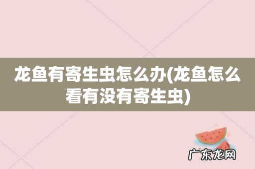 龙鱼怎么看有没有寄生虫 龙鱼有寄生虫怎么办