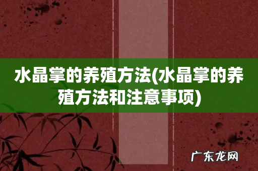 水晶掌的养殖方法和注意事项 水晶掌的养殖方法