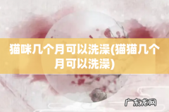 猫猫几个月可以洗澡 猫咪几个月可以洗澡