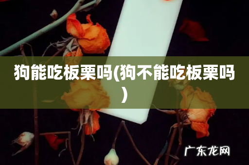 狗不能吃板栗吗 狗能吃板栗吗