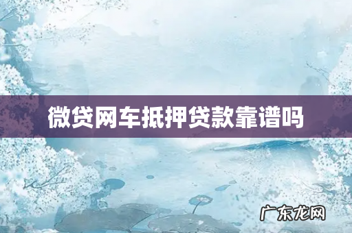 微贷网车抵押贷款靠谱吗