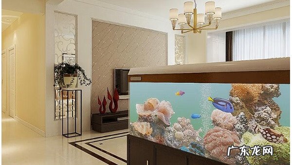 怀不上孩子跟风水有没有关系 怀不上孩子和风水有关系吗