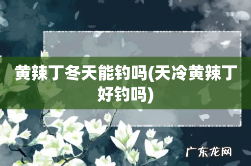 天冷黄辣丁好钓吗 黄辣丁冬天能钓吗