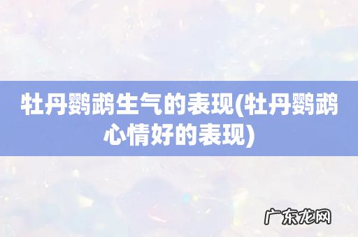 牡丹鹦鹉心情好的表现 牡丹鹦鹉生气的表现
