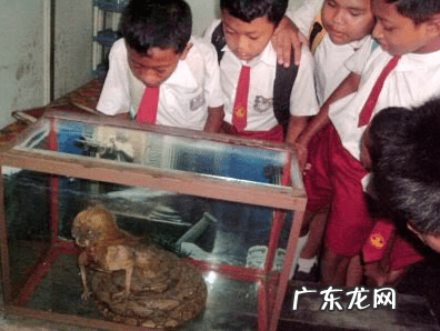 黑魔法诅咒仪式 黑魔法仪式怎么做