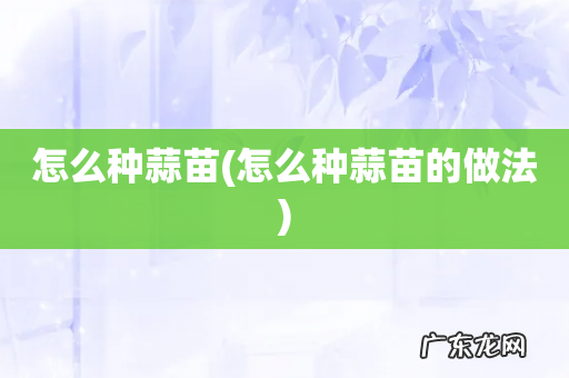 怎么种蒜苗的做法 怎么种蒜苗