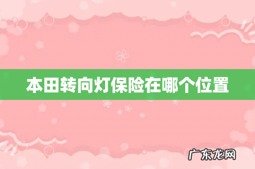 本田转向灯保险在哪个位置