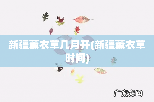 新疆薰衣草时间 新疆薰衣草几月开